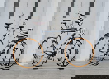 Yellow Apple - XR2603